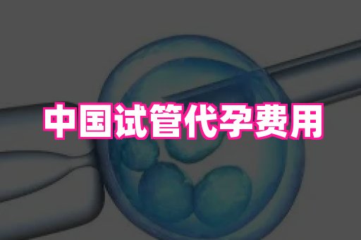 安徽助孕网 2