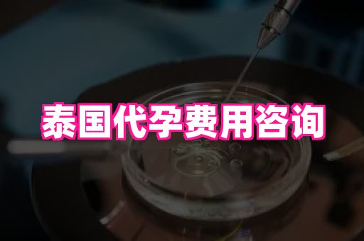 安徽助孕网 3